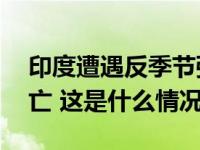 印度遭遇反季节强降雨袭击，24人因雷击死亡 这是什么情况？