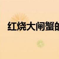 红烧大闸蟹的做法步骤窍门（红烧大闸蟹）