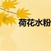 荷花水粉画步骤图解（荷花水粉画）
