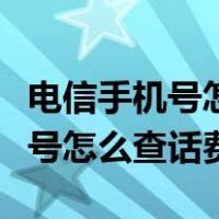 电信手机号怎么查话费余额和流量（电信手机号怎么查话费）