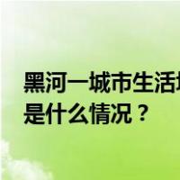黑河一城市生活垃圾处理站4人身亡，事故调查报告公布 这是什么情况？