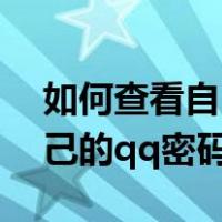 如何查看自己的qq密码和帐号（如何查看自己的qq密码）