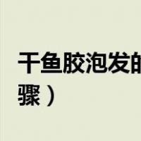 干鱼胶泡发的正确方法视频（花胶泡发详细步骤）