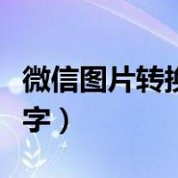 微信图片转换文字怎么设置（微信图片转换文字）