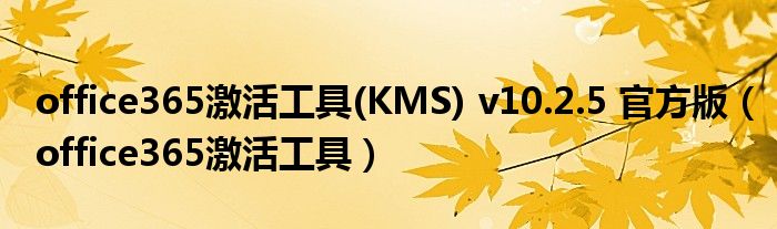 office365激活工具(KMS) v10.2.5 官方版（office365激活工具）