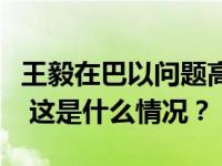 王毅在巴以问题高级别会议后向媒体发表谈话 这是什么情况？