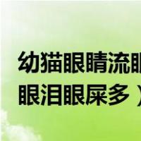 幼猫眼睛流眼泪眼屎多吃什么药（幼猫眼睛流眼泪眼屎多）