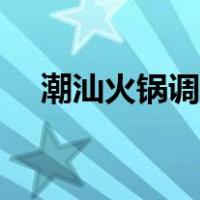 潮汕火锅调料怎么配（火锅调料怎么配）