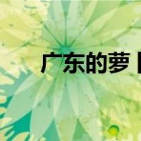 广东的萝卜糕怎么做（萝卜糕怎么做）