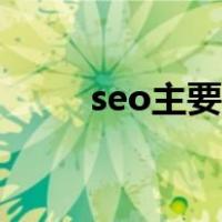 seo主要是什么（seo主要做什么）