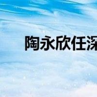 陶永欣任深圳市副市长 这是什么情况？