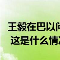 王毅在巴以问题高级别会议后向媒体发表谈话 这是什么情况？
