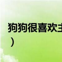 狗狗很喜欢主人的表现（狗狗喜欢主人的表现）