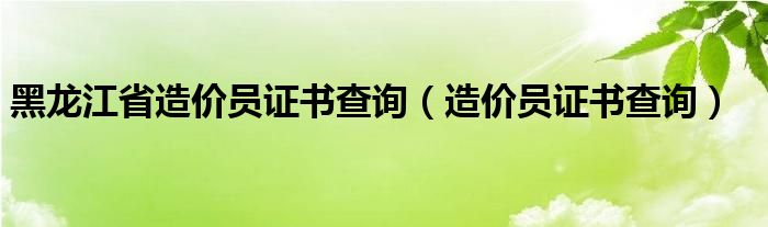 黑龙江省造价员证书查询（造价员证书查询）