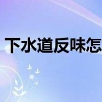 下水道反味怎么办（厕所下水道反味怎么办）