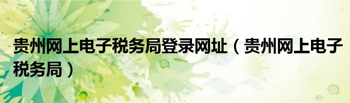 贵州网上电子税务局登录网址（贵州网上电子税务局）