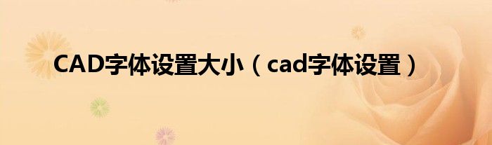 CAD字体设置大小（cad字体设置）