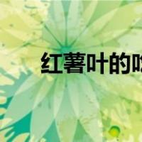 红薯叶的吃法和做法（红薯叶的吃法）
