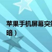 苹果手机屏幕突然变暗但是亮度最大（苹果手机屏幕突然变暗）