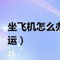 坐飞机怎么办理托运宠物（坐飞机怎么办理托运）
