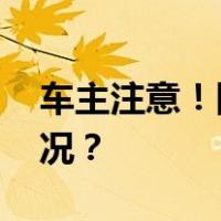 车主注意！国内油价或压线下调 这是什么情况？