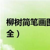 柳树简笔画图片大全大图（柳树简笔画图片大全）