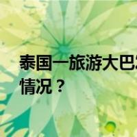 泰国一旅游大巴发生车祸，致14人死亡35人受伤 这是什么情况？