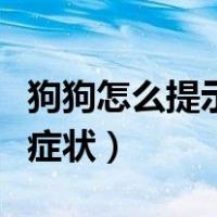 狗狗怎么提示主人要生了（狗狗快生了有什么症状）
