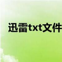 迅雷txt文件怎么打开（txt文件怎么打开）