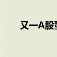 又一A股董事长去世 这是什么情况？