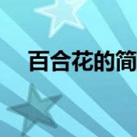 百合花的简笔画图片（百合花的简笔画）