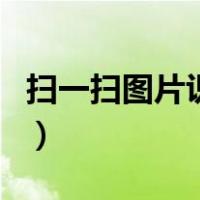 扫一扫图片识别手表（浪琴手表真假编号查询）