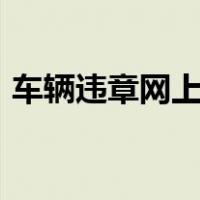 车辆违章网上缴费app（车辆违章网上缴费）