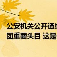 公安机关公开通缉10名缅北果敢自治区电信网络诈骗犯罪集团重要头目 这是什么情况？