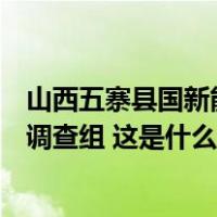 山西五寨县国新能源煤炭运销公司发生坠亡事故，当地成立调查组 这是什么情况？