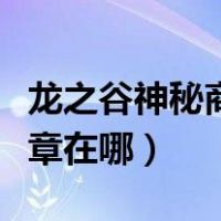 龙之谷神秘商店商品一览（龙之谷神秘属性纹章在哪）