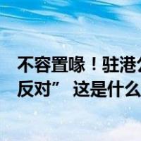 不容置喙！驻港公署、驻英使馆均发言，对英方言论“坚决反对” 这是什么情况？