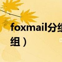 foxmail分组管理（foxmail邮箱怎么设置分组）