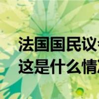 法国国民议会投票中止移民法草案审议程序 这是什么情况？