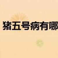 猪五号病有哪些症状（猪五号病的症状图片）
