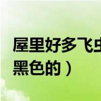 屋里好多飞虫黑色的怎么办（屋里好多小飞虫黑色的）