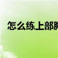 怎么练上部胸肌（上胸肌怎么练最快图解）