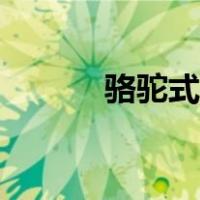 骆驼式瑜伽危害（骆驼式瑜伽）