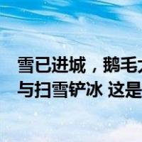 雪已进城，鹅毛大雪即将开始！北京：请市民力所能及，参与扫雪铲冰 这是什么情况？
