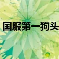国服第一狗头是谁（国服第一狗头教你出装）