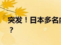 突发！日本多名内阁官员辞职 这是什么情况？
