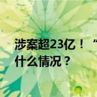 涉案超23亿！“红通人员”许国俊一审被判无期徒刑 这是什么情况？