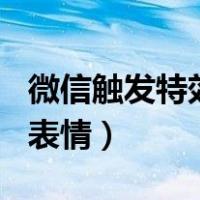 微信触发特效的表情100个（微信发什么会掉表情）