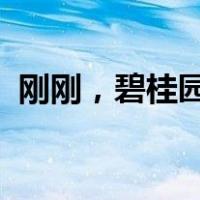 刚刚，碧桂园宣布：退出！ 这是什么情况？