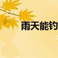 雨天能钓什么鱼（雨天钓鱼好钓吗）